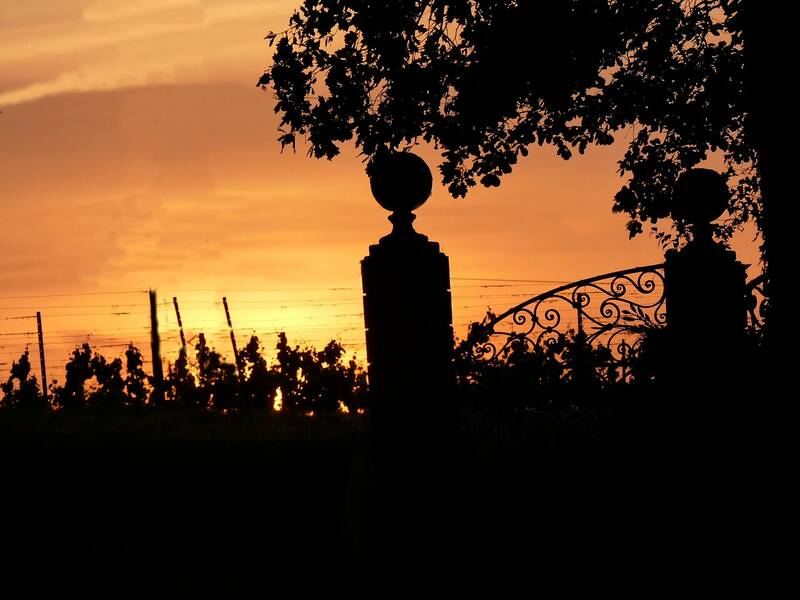 La Guinguette De Bellevue accepte les chiens à Fronton