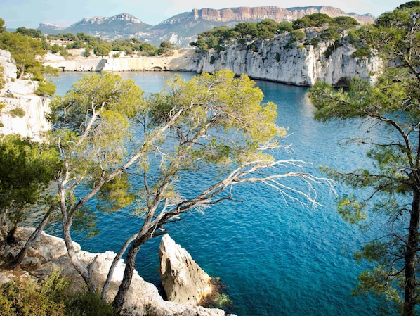 ibis Marseille Bonneveine Calanques Plages accepte les chiens à Marseille