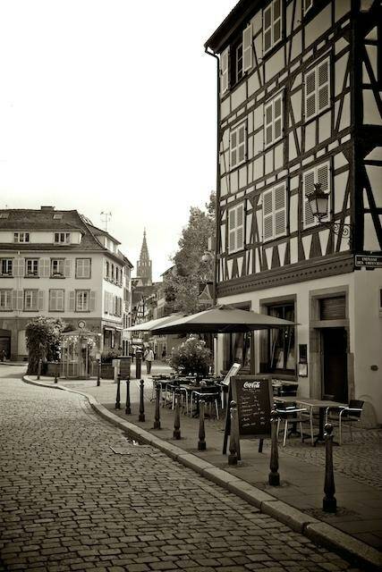 Argentoratum accepte les chiens à Strasbourg