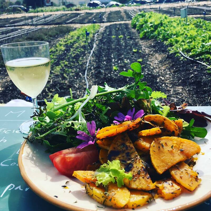 LeTalus accepte les chiens à Marseille