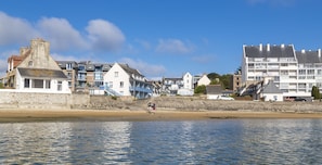 Hotel acceptant les chiens