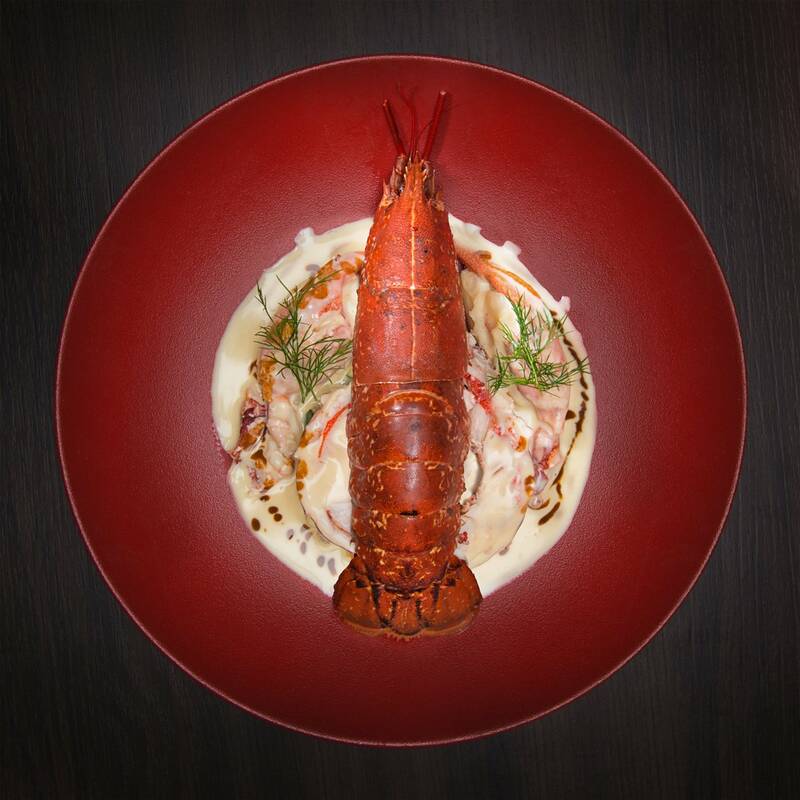 La Regalada accepte les chiens à Gruissan