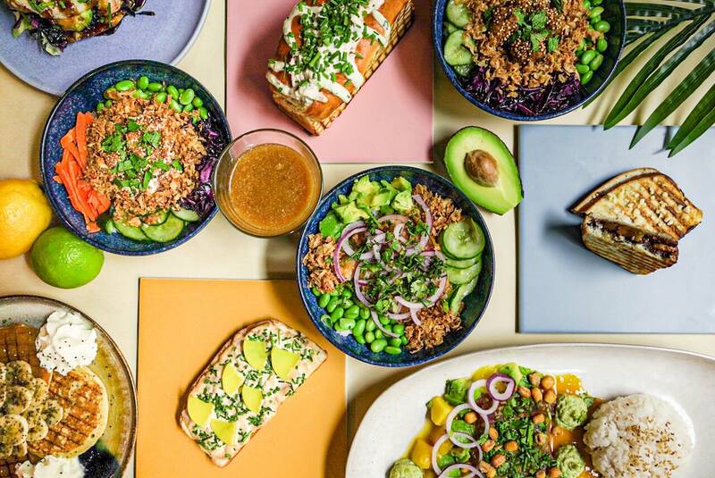 Pacific Bordeaux accepte les chiens à Bordeaux