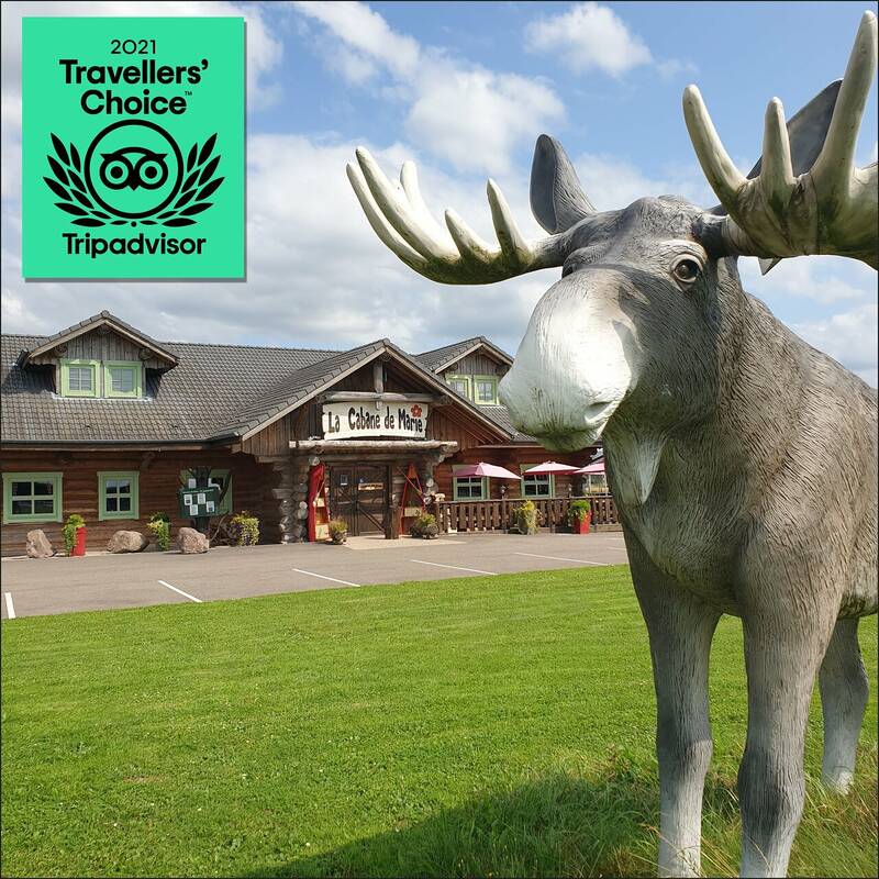 La Cabane de Marie Buhl-Lorraine accepte les chiens à Buhl-Lorraine