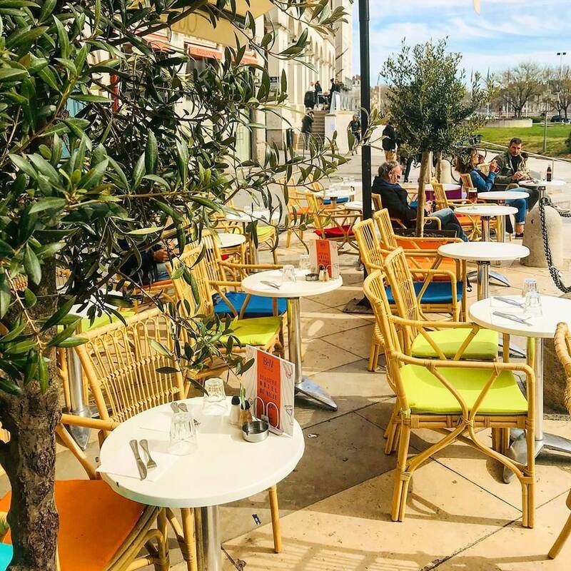 Brasserie Hôtel de Ville accepte les chiens à Lyon