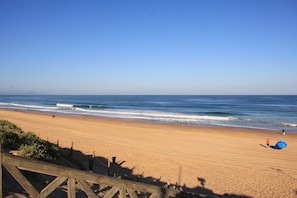 Hotel acceptant les chiens