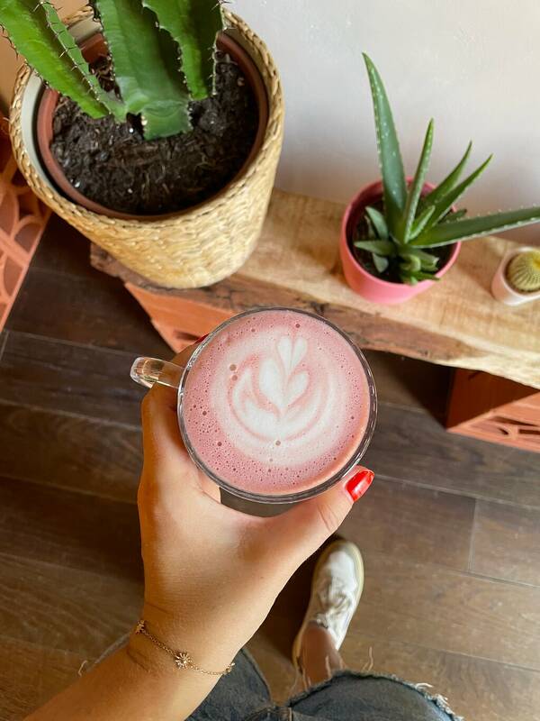 Palmarosa accepte les chiens à Lyon