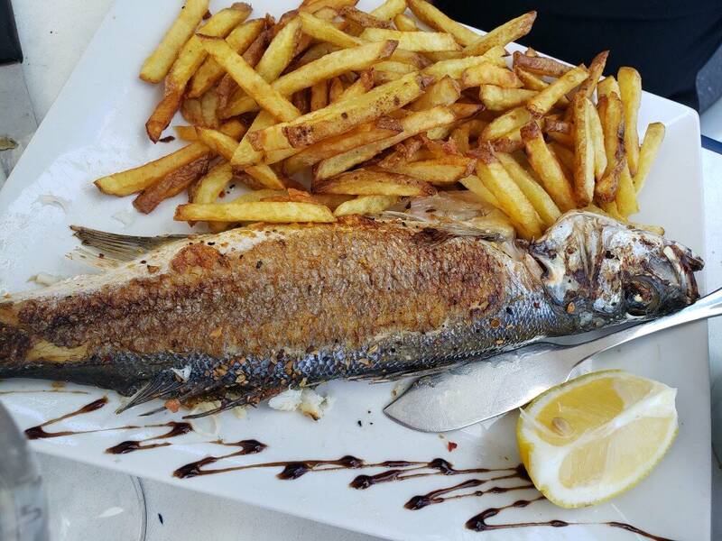 Brasserie l'Escale Le Verdon sur Mer accepte les chiens à Le Verdon Sur Mer