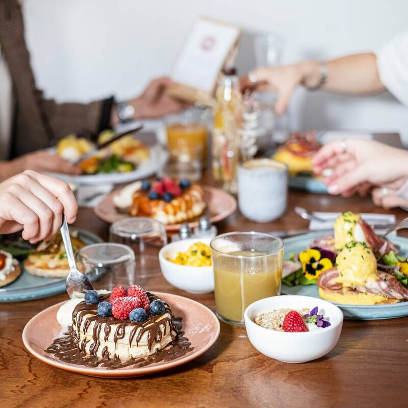 La collation accepte les chiens à Bordeaux