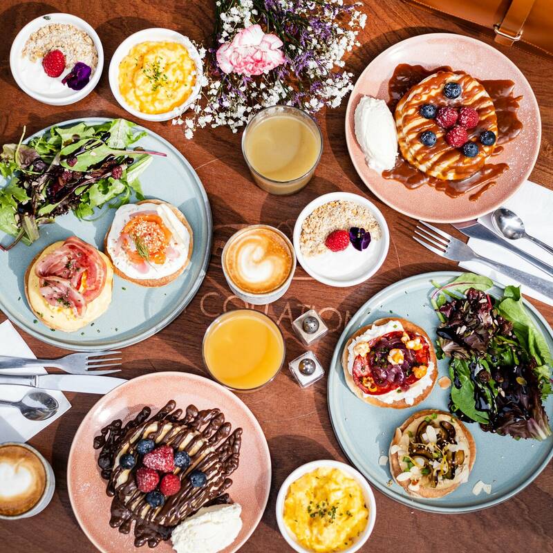 La collation accepte les chiens à Bordeaux