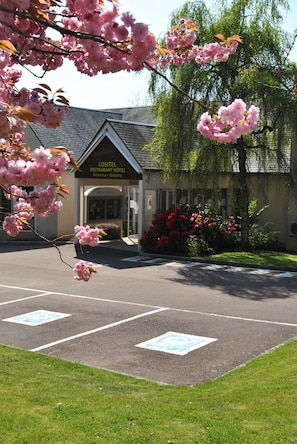 Hotel acceptant les chiens