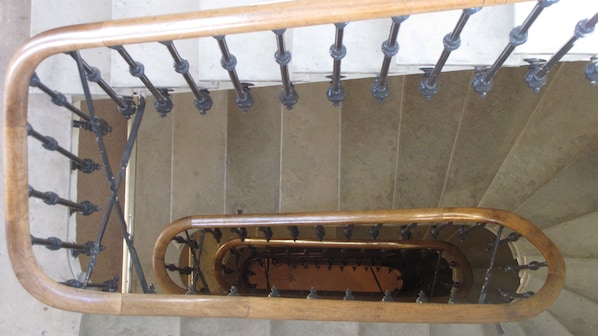 Hotel De France accepte les chiens à Toulouse