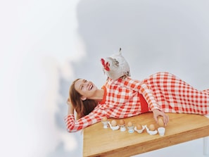 Hotel acceptant les chiens