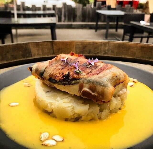 Le Bistrot accepte les chiens à Quillan