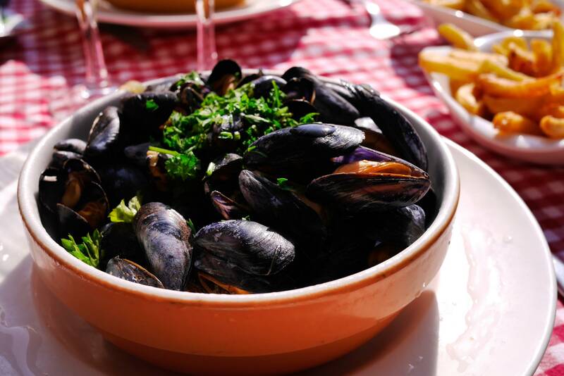 La Salamandre accepte les chiens à Etretat