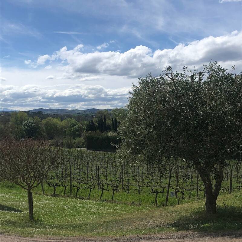 Cote Resto accepte les chiens à Brugairolles