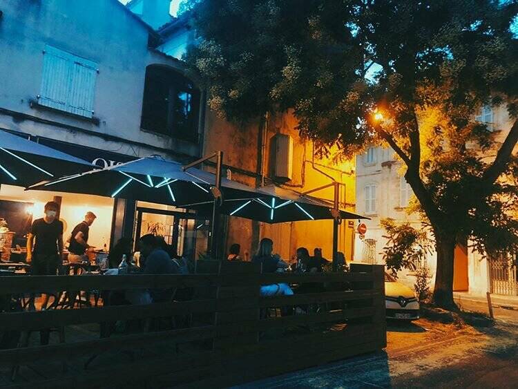 Oiseau accepte les chiens à Avignon