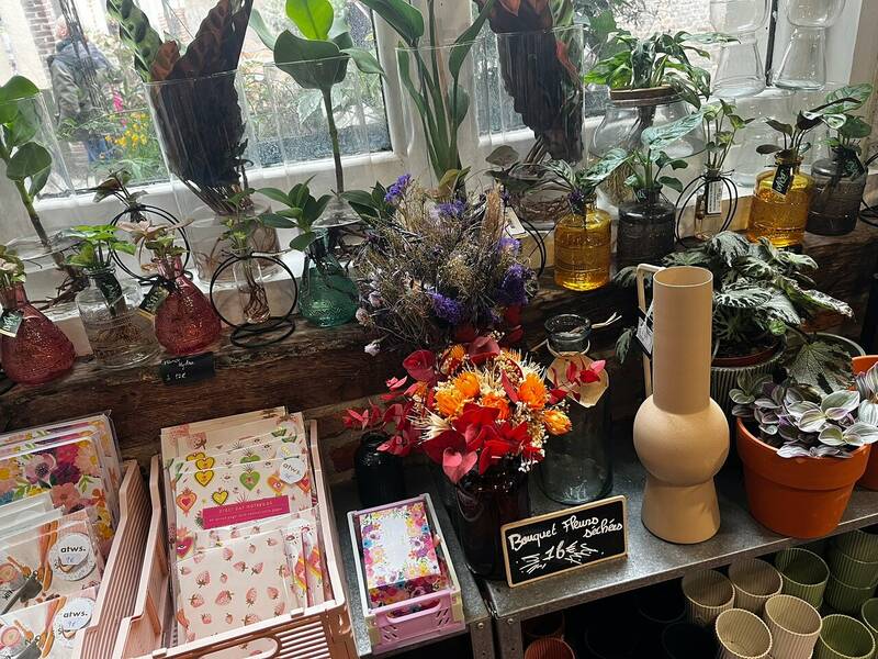 La Wilderie accepte les chiens à Lille