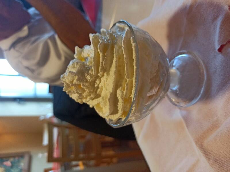 Le 29 accepte les chiens à Verdun