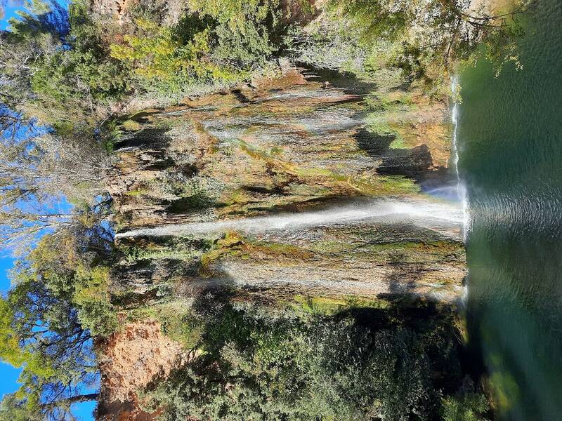 Restaurant Les Pins accepte les chiens à Sillans-la-Cascade