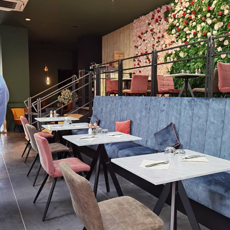 Come Prima accepte les chiens à Lille