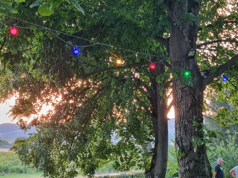 Restaurant Les Briques Rouges accepte les chiens à Veyre-Monton