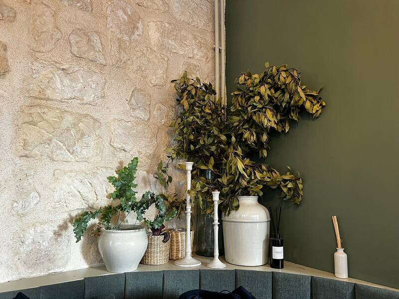 Café De Luce accepte les chiens à Paris