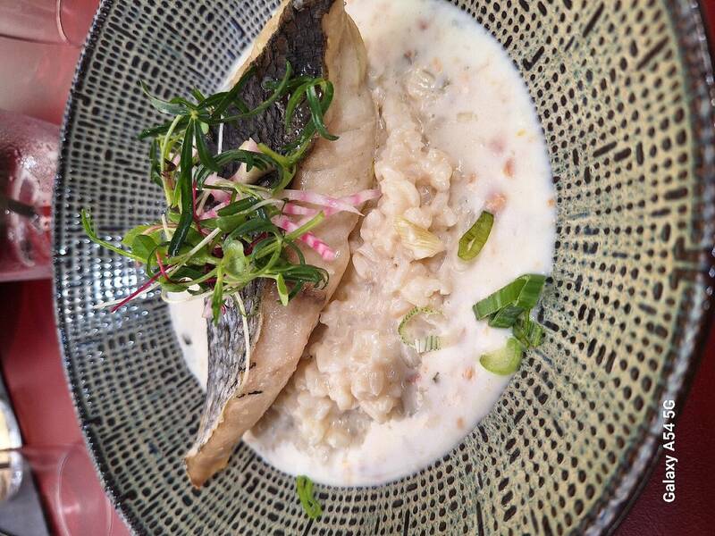 Le Boréal accepte les chiens à Castres