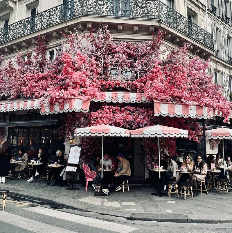 La Favorite Saint Paul accepte les chiens à Paris