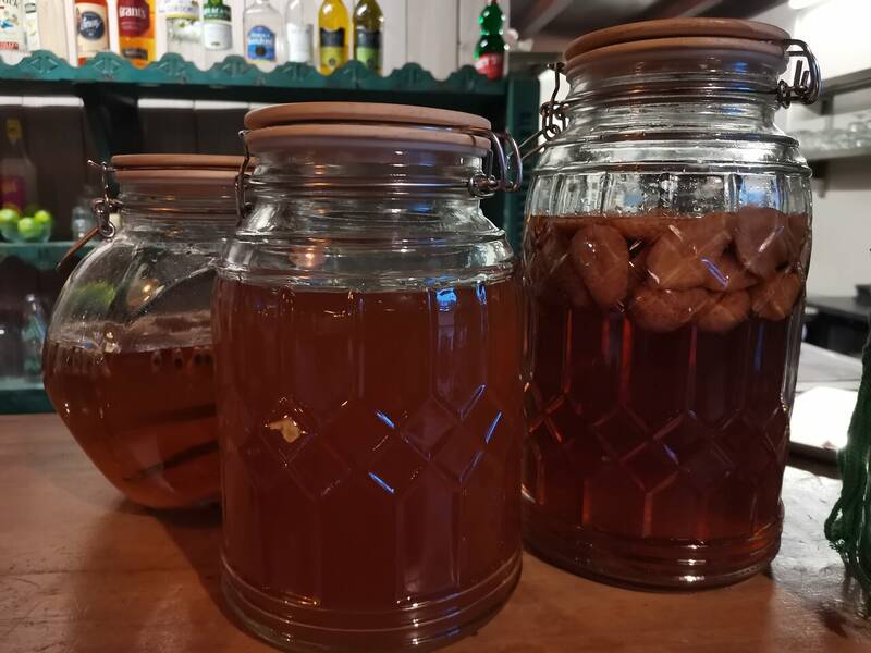 Quésaco accepte les chiens à Vallon-Pont-d'Arc