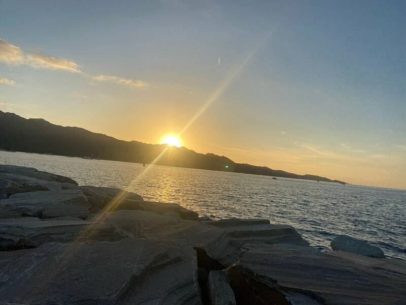Le P'tit Dernier accepte les chiens à Saint Florent