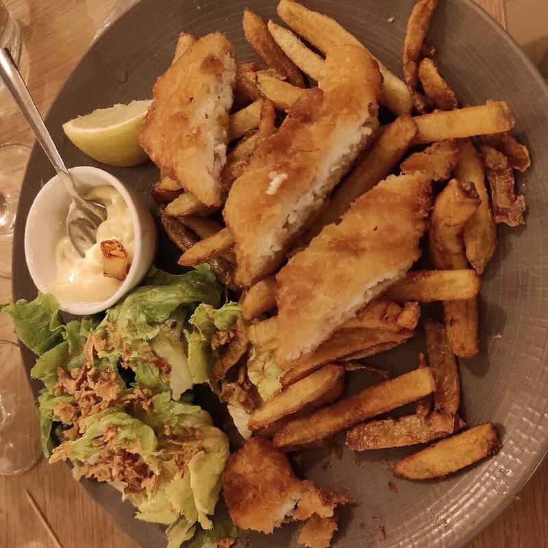 L'uzège accepte les chiens à Uzès