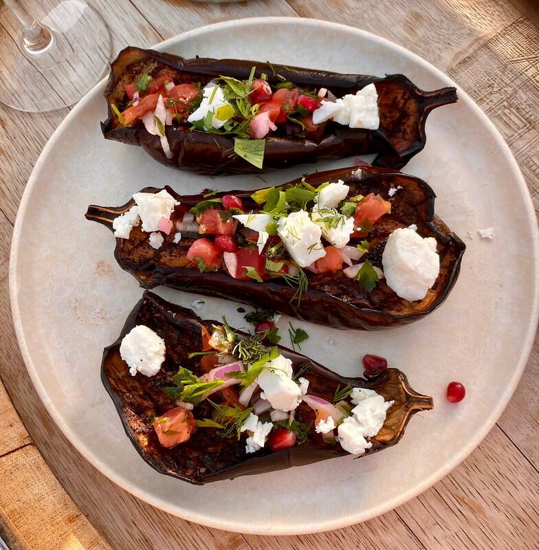 Shasha sur le toit accepte les chiens à Bordeaux