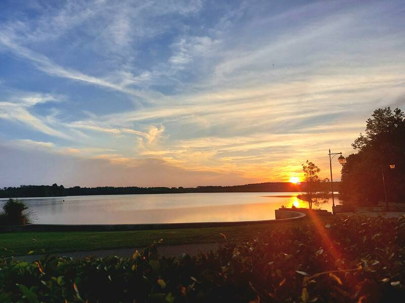 L'Auberge de la Pointe Restaurant accepte les chiens à Soustons