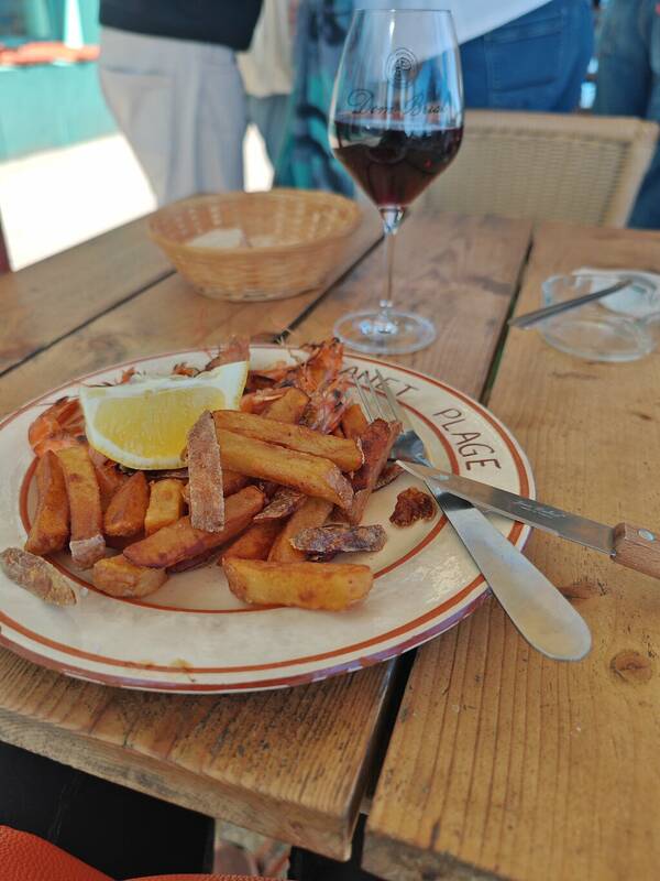 Sanils accepte les chiens à Canet en Roussillon