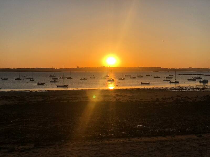 La Marinière accepte les chiens à Carantec