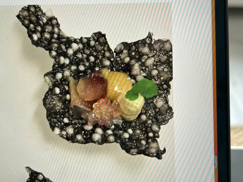 Les Mets Chantent accepte les chiens à Collias