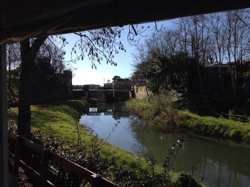 LA TRINQUETTE La Rochelle accepte les chiens à La Rochelle