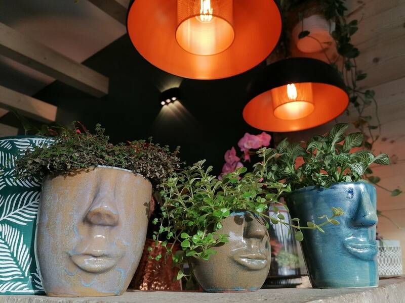 Don Camillo accepte les chiens à L'Isle-sur-le-Doubs