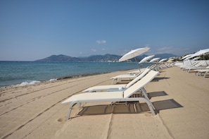 Hotel acceptant les chiens