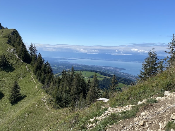 B&B Hotel Evian Publier accepte les chiens à Publier