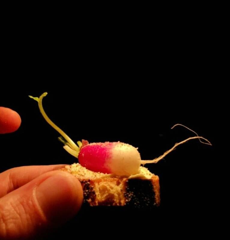 Atelier N9 accepte les chiens à Mortagne-au-Perche