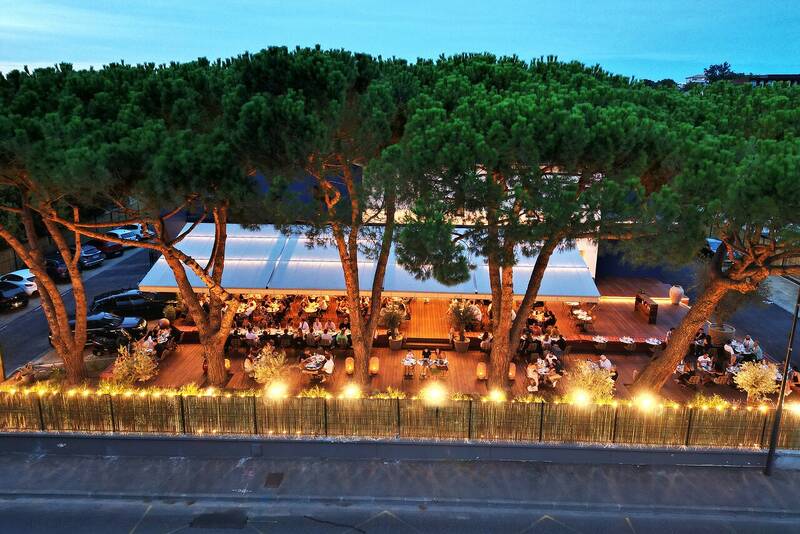 Amafolia accepte les chiens à Balma