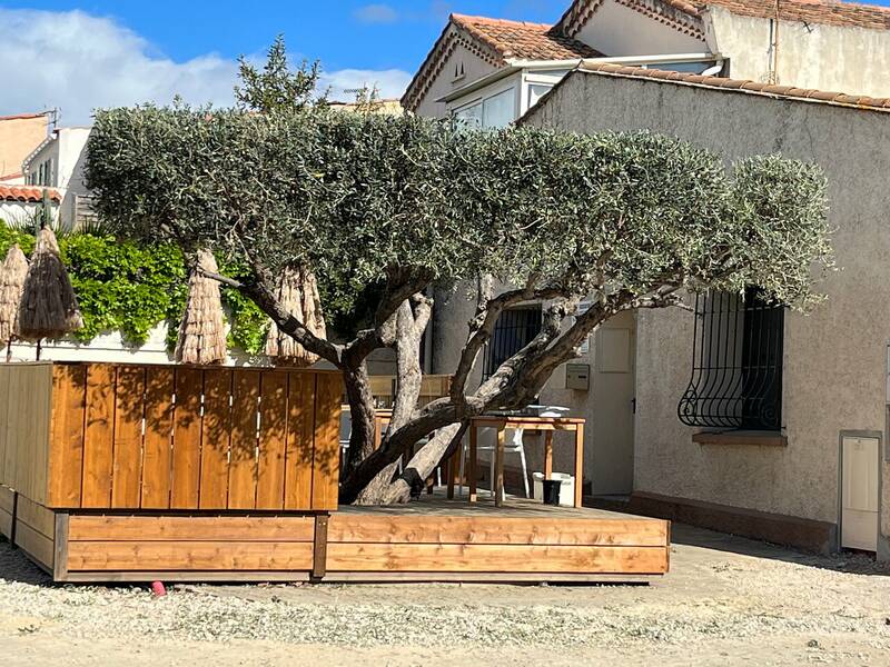 Le Sixte accepte les chiens à Pérols