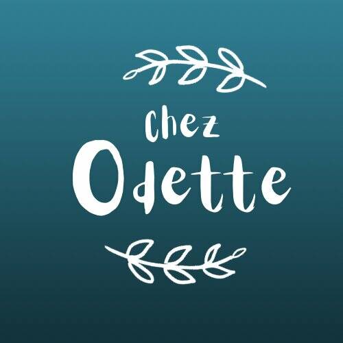 Chez Odette 56 accepte les chiens à La Roche-Bernard
