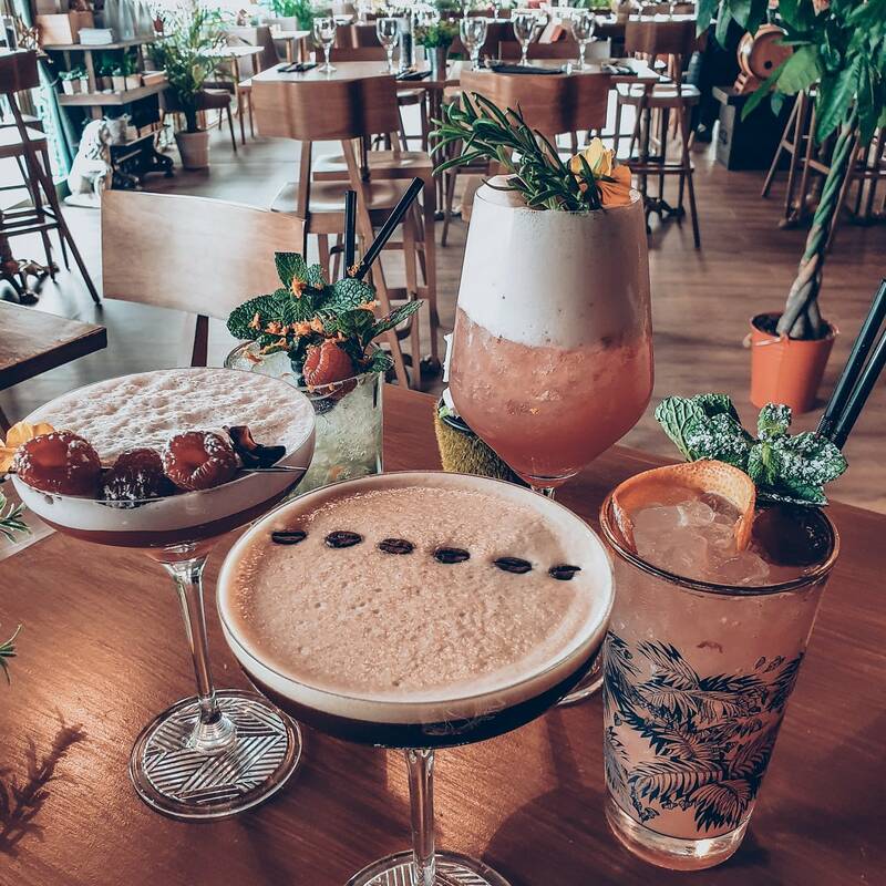 Brasserie Du Parc By Les Artistes accepte les chiens à Pérols