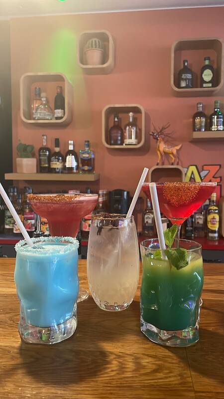 Carmela accepte les chiens à Clermont-Ferrand