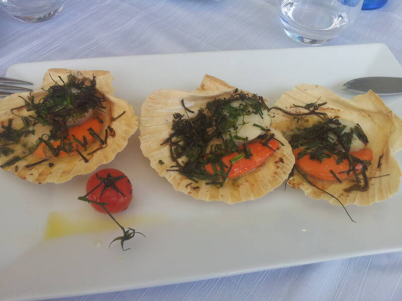 Le Yams accepte les chiens à Cavalaire-Sur-Mer