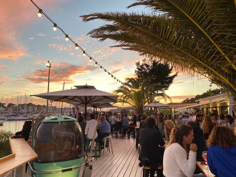 Monsieur Mouette Capbreton accepte les chiens à Capbreton