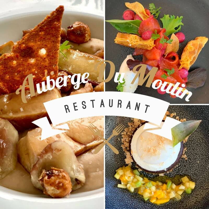 AUBERGE DU MOULIN accepte les chiens à Saint-Sorlin-en-Valloire